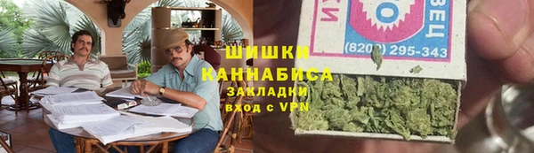ПСИЛОЦИБИНОВЫЕ ГРИБЫ Приозерск